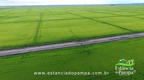 DOS EÓLICOS VIRA P FAZENDA_Moment.00_00_37_05.Quadro040_0d87aa812d97e4c9a2e3569dcd13aba31029697f.png